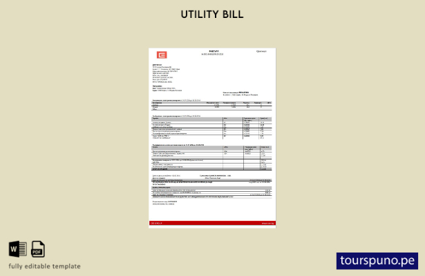 listo para imprimir plantilla de Word   factura de servicios públicos de elec 14